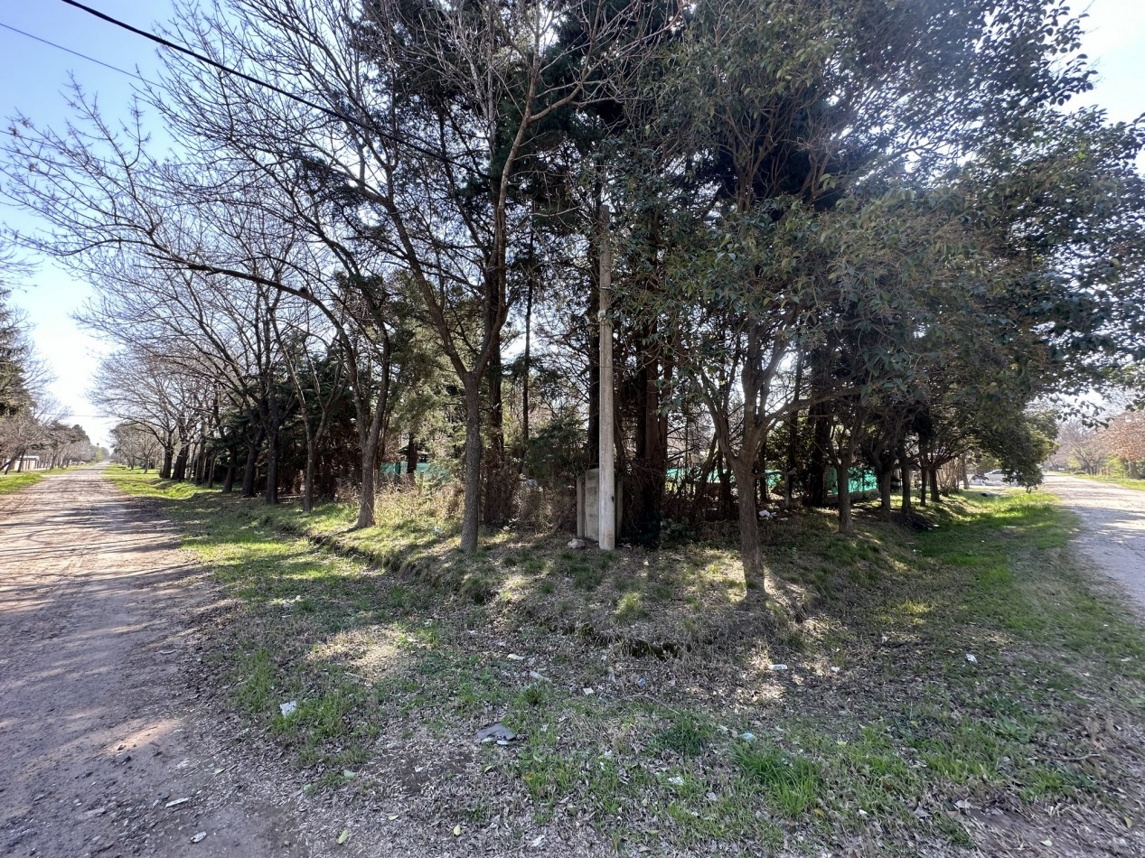 Lote 450 m2 forestado cercano Don Mateo