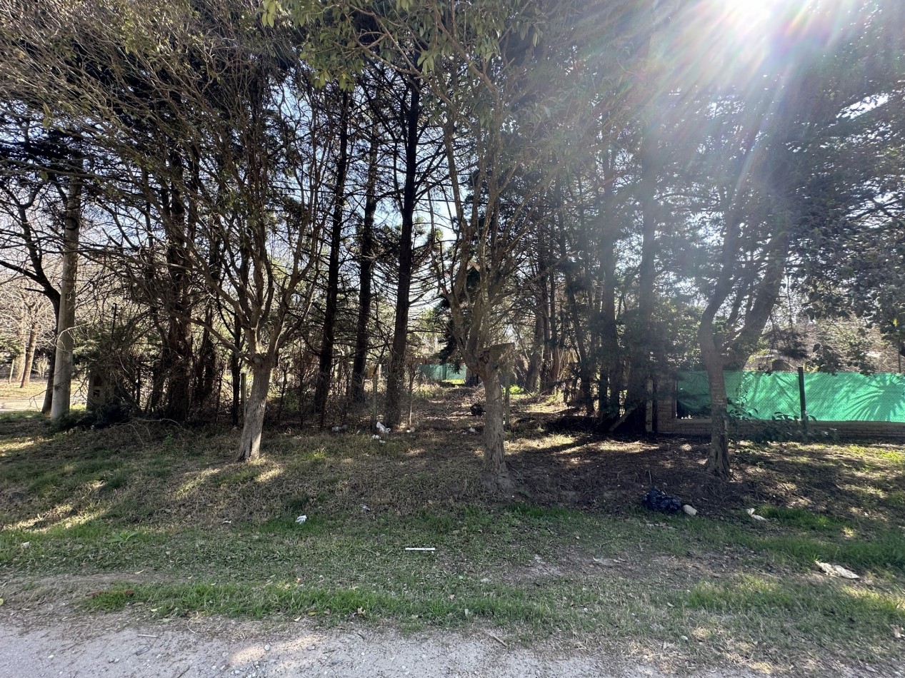 Lote 450 m2 forestado cercano Don Mateo