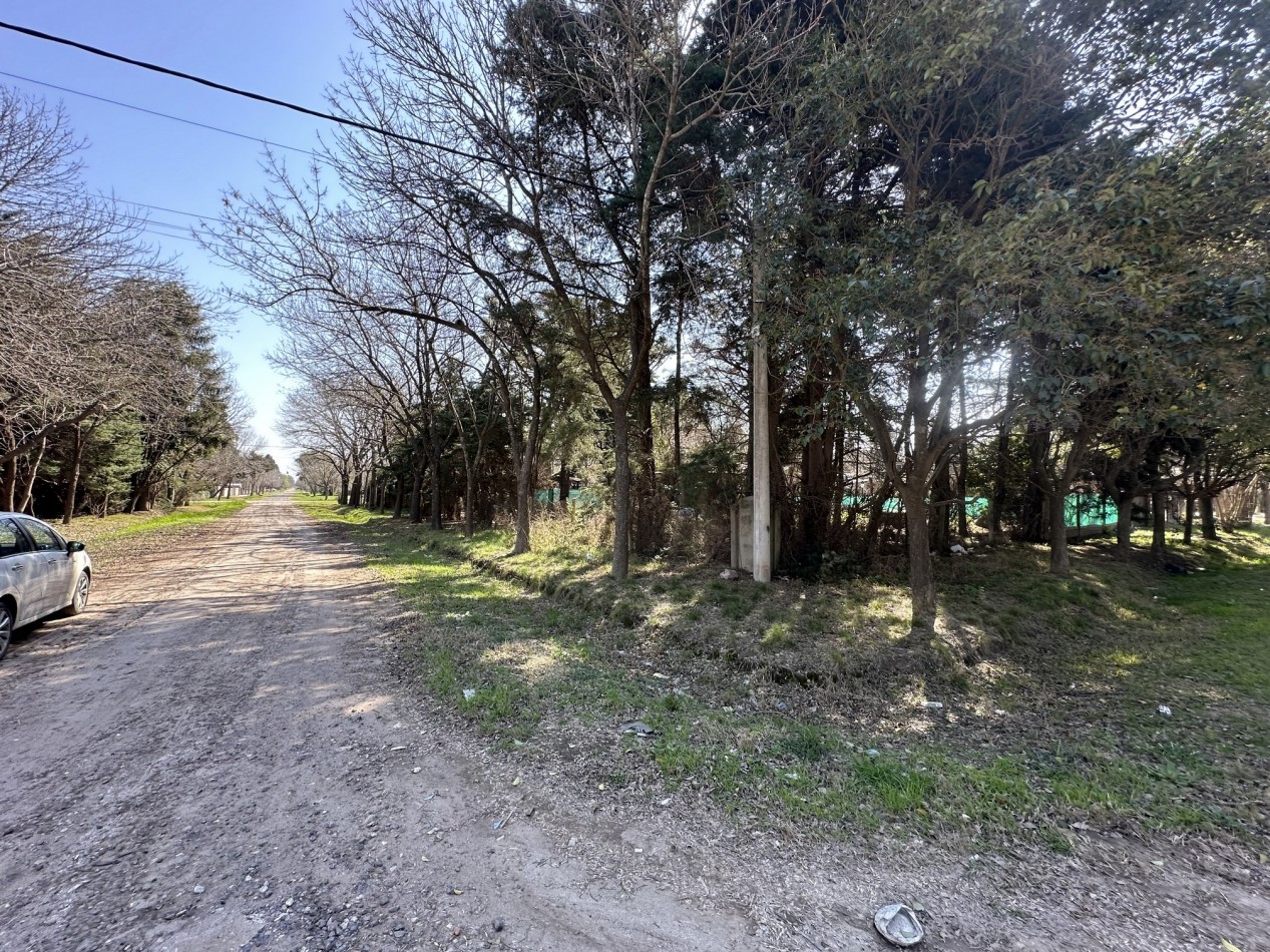 Lote 450 m2 forestado cercano Don Mateo