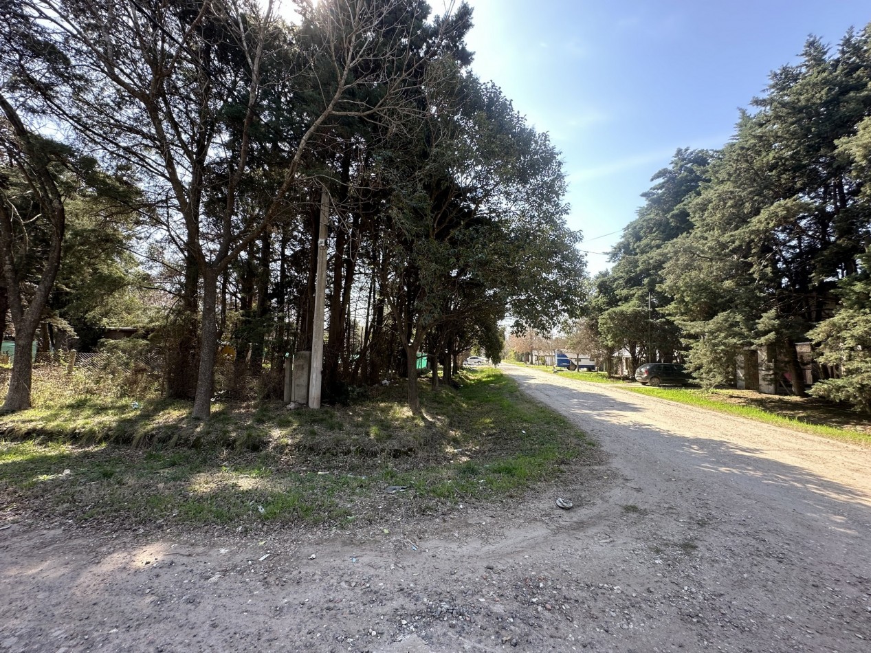 Lote 450 m2 forestado cercano Don Mateo