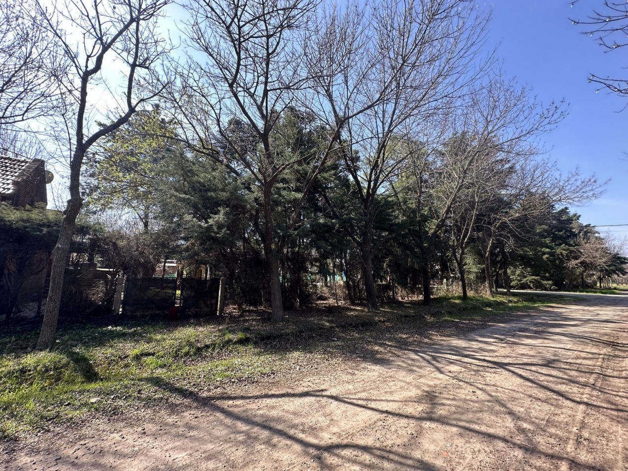 Lote 450 m2 forestado cercano Don Mateo