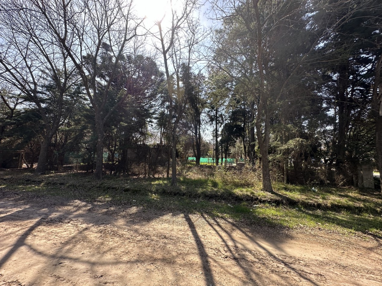 Lote 450 m2 forestado cercano Don Mateo