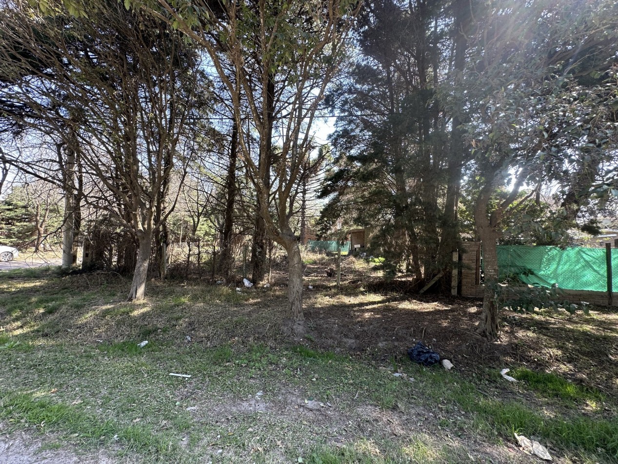 Lote 450 m2 forestado cercano Don Mateo