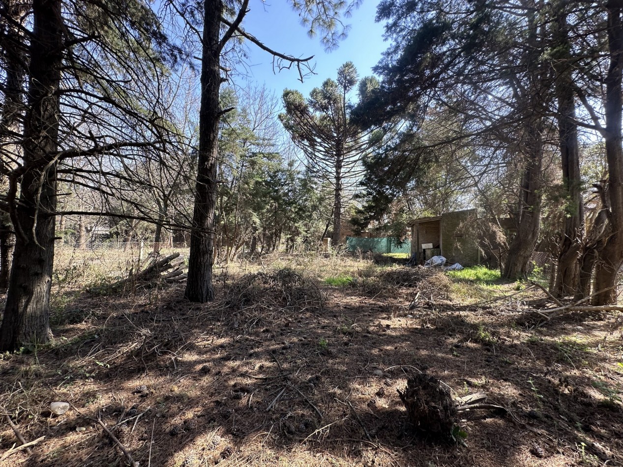 Lote 450 m2 forestado cercano Don Mateo