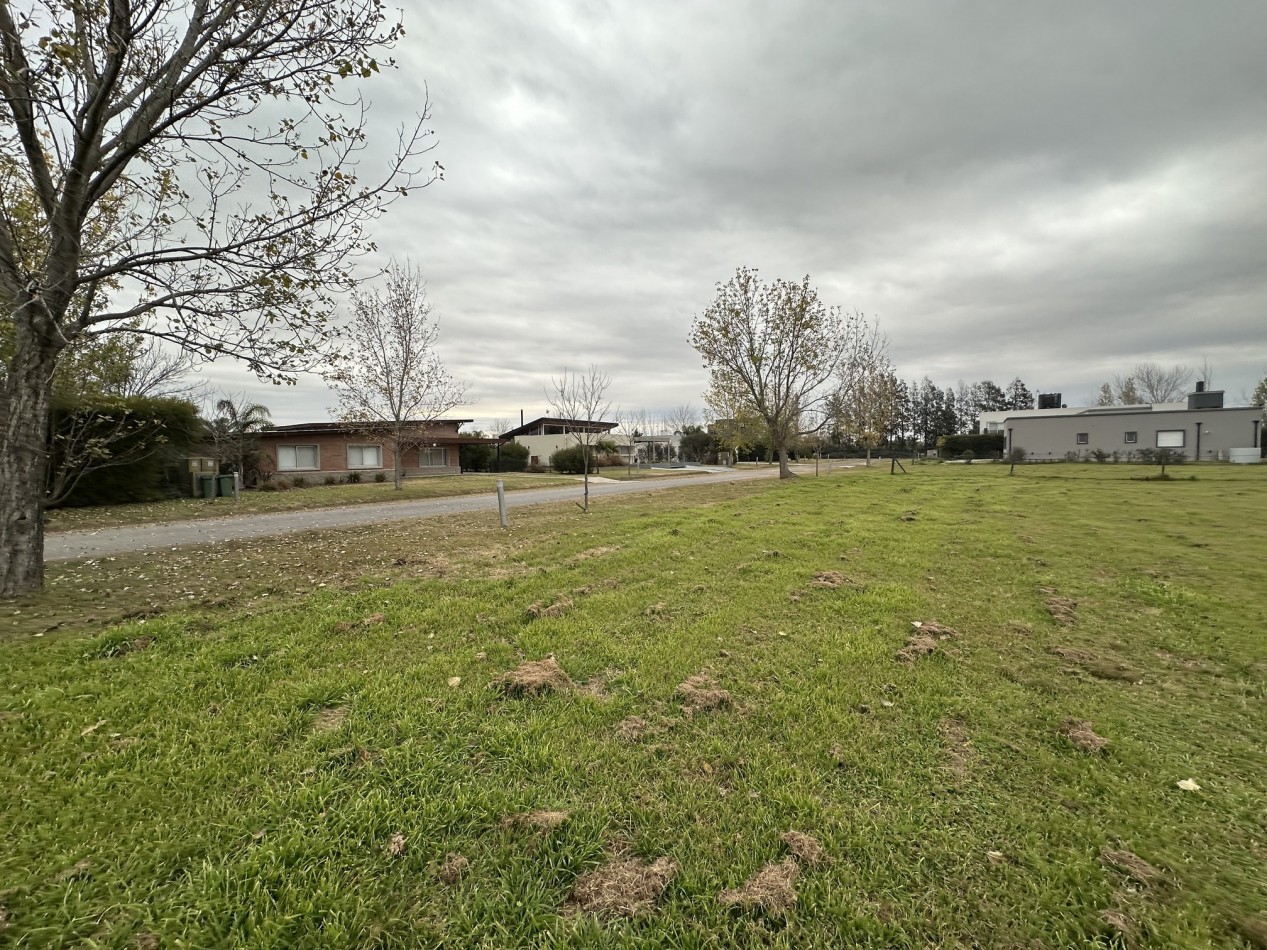 Espectacular lote en Puerto Roldan