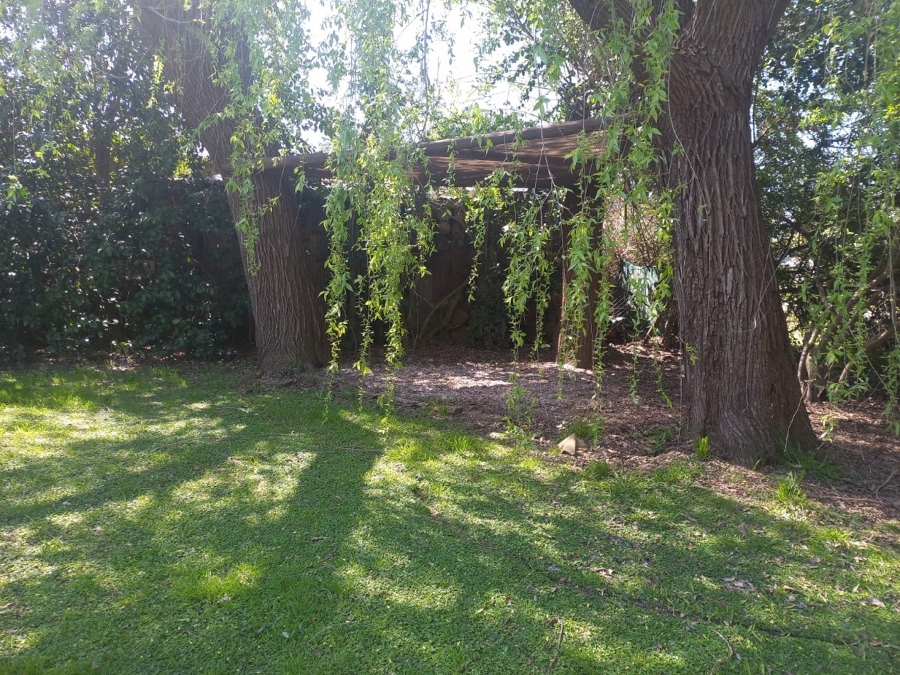 Espectacular Lote forestado en Roldan