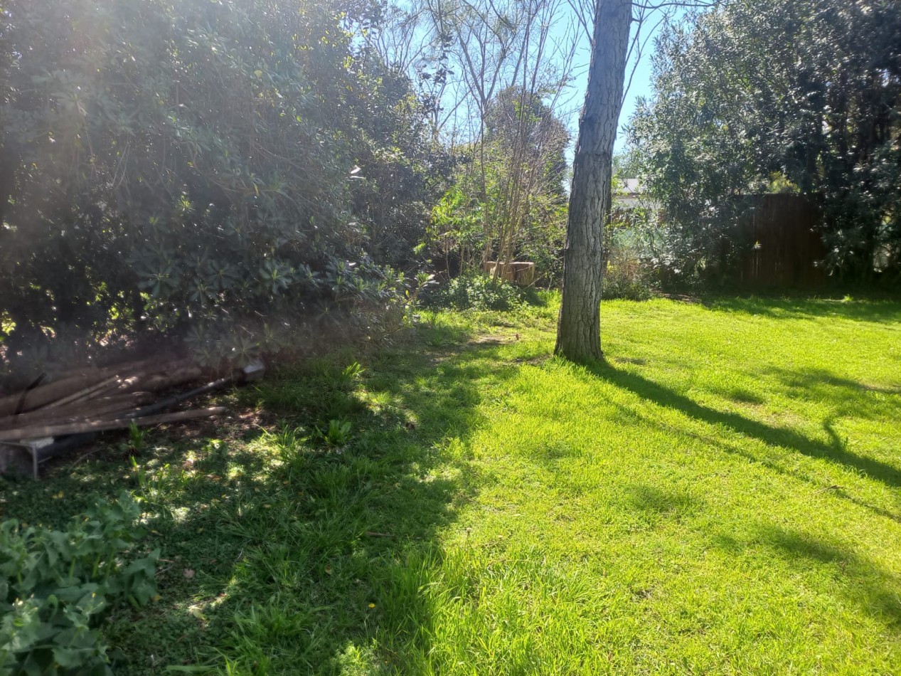 Espectacular Lote forestado en Roldan