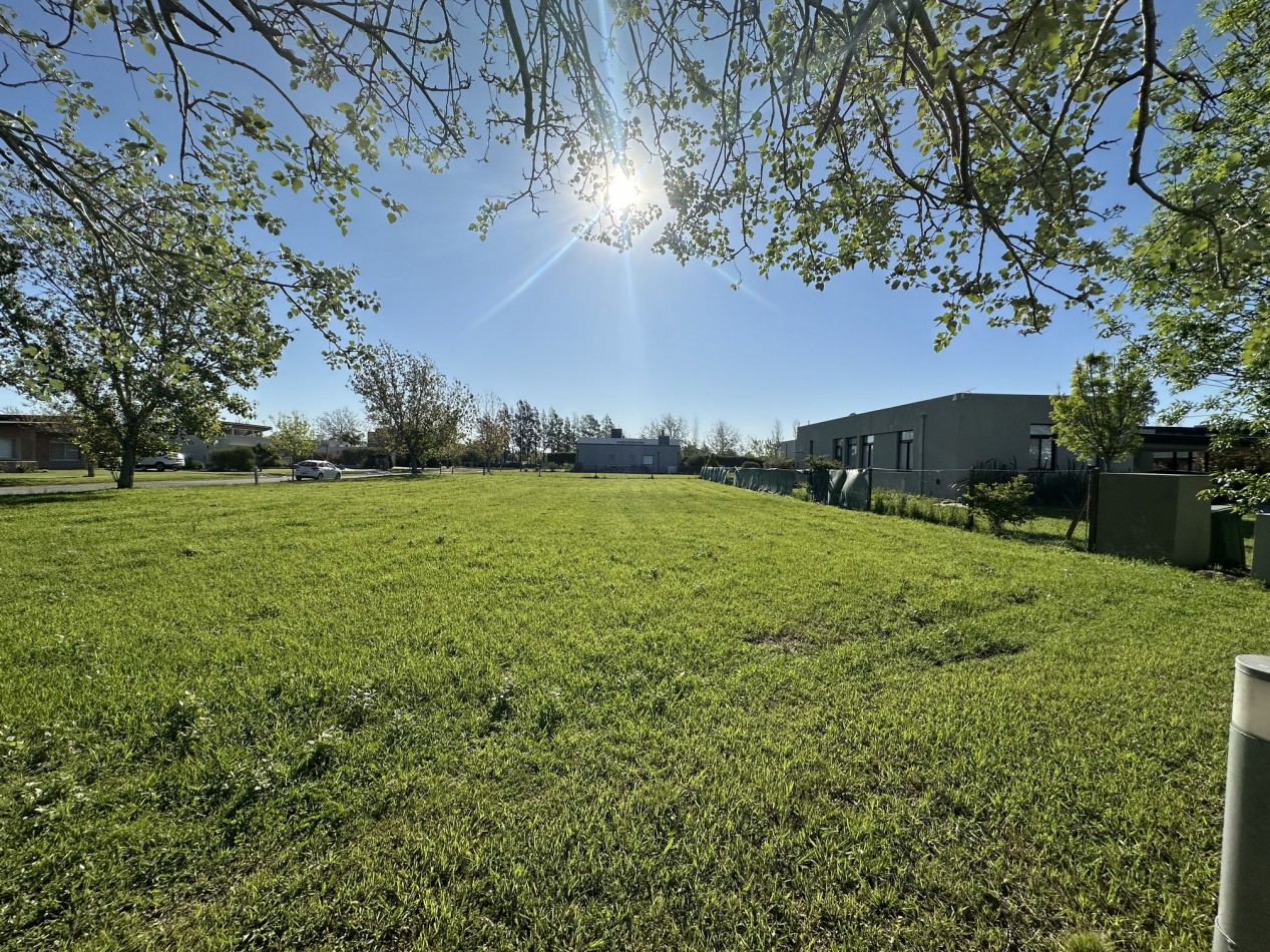 Espectacular lote en Puerto Roldan