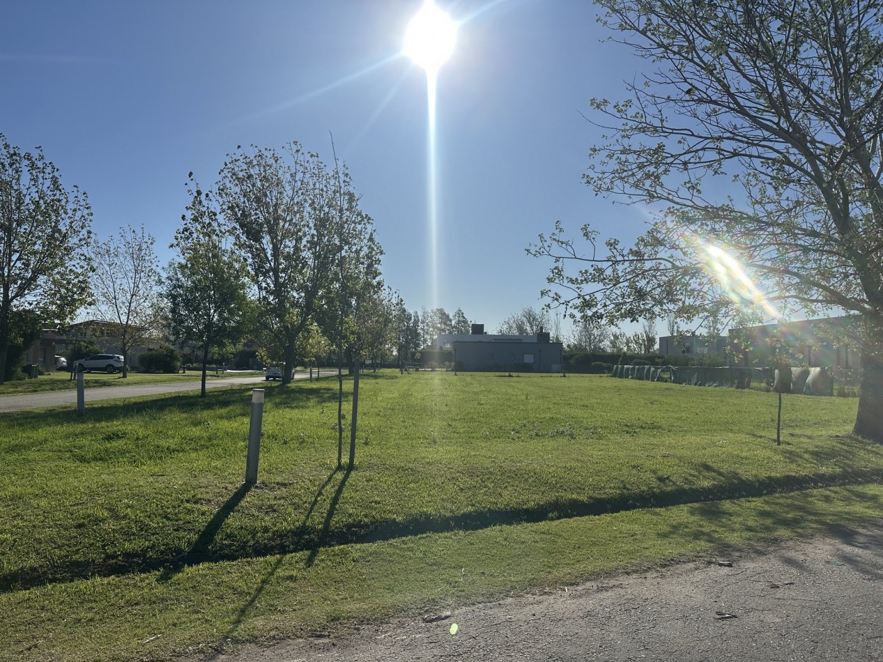 Espectacular lote en Puerto Roldan