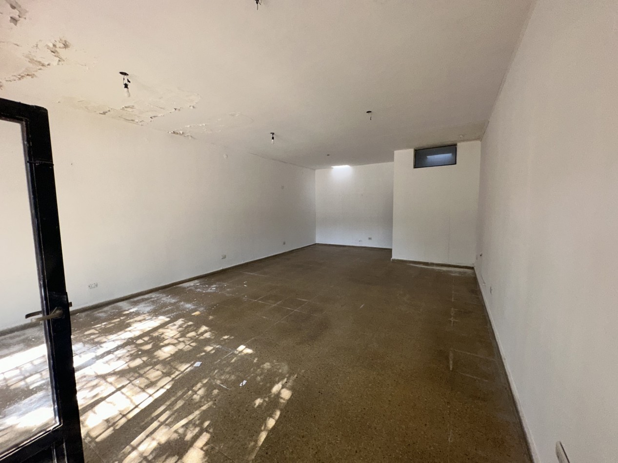 Locales comerciales + galpon en venta