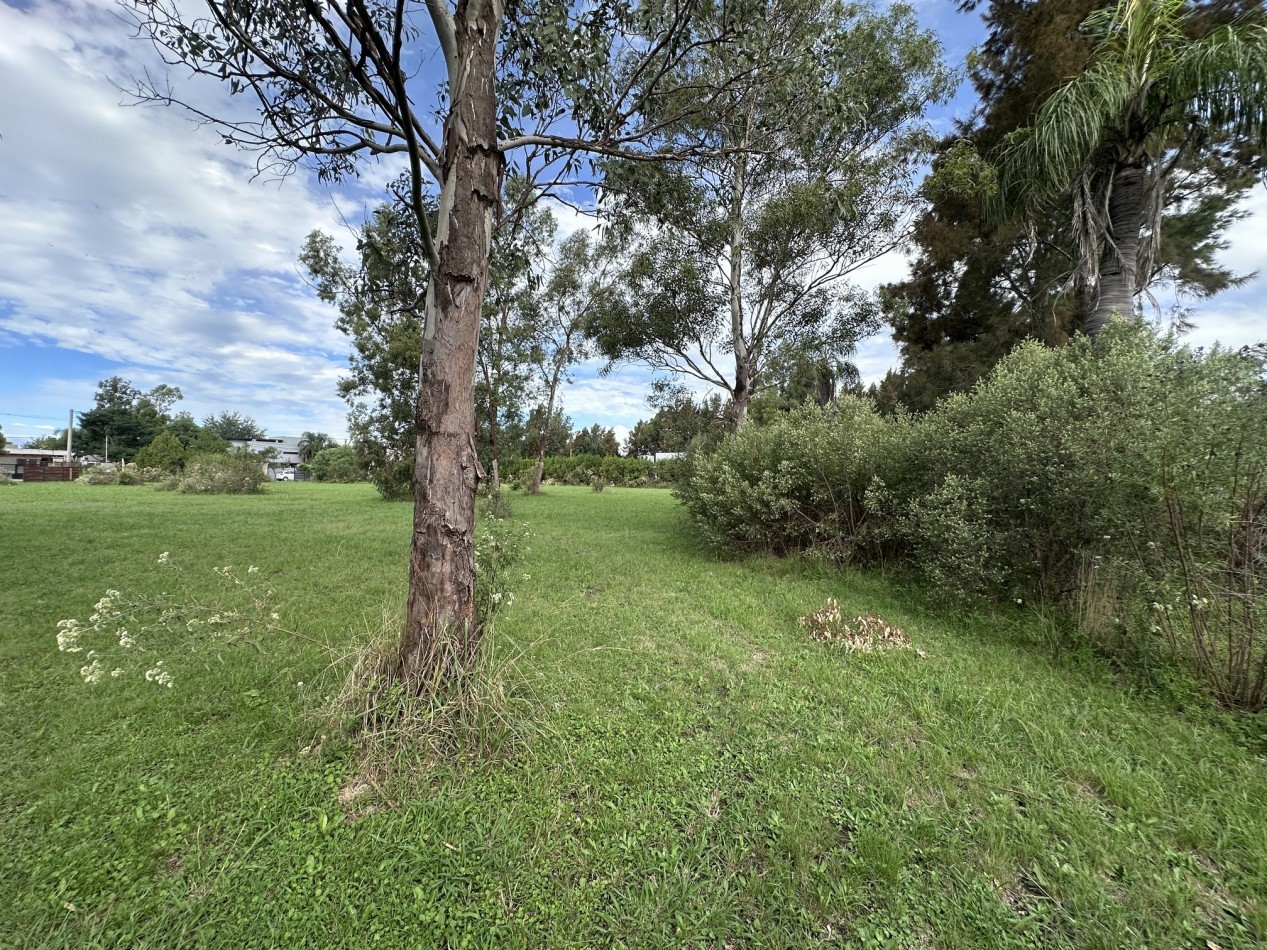 Venta Terreno 4.416 m2 Ideal Constructoras