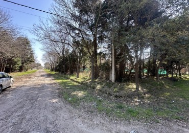 Lote 450 m2 forestado cercano Don Mateo