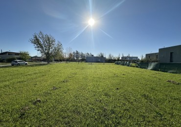 Espectacular lote en Puerto Roldan