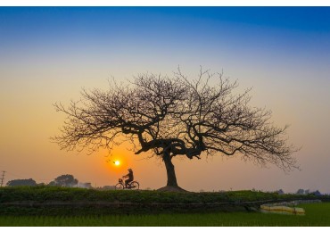 Venta lote 540 m2 en Vida Green Funes