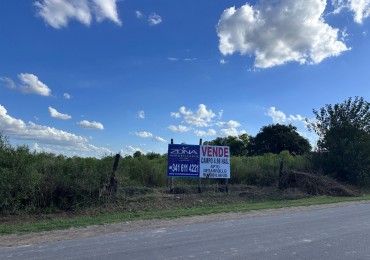 Venta Campo 5 has en Ibarlucea